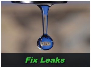 Fixed Leak